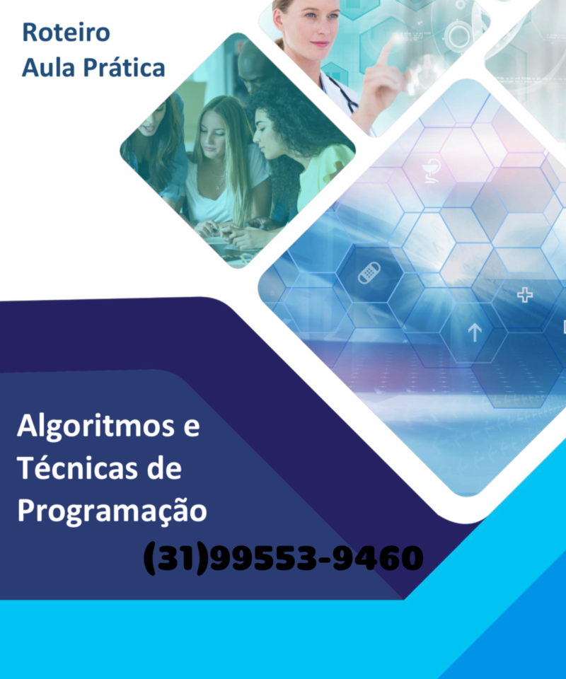Roteiro de aula prática Algoritmos e técnicas de programação