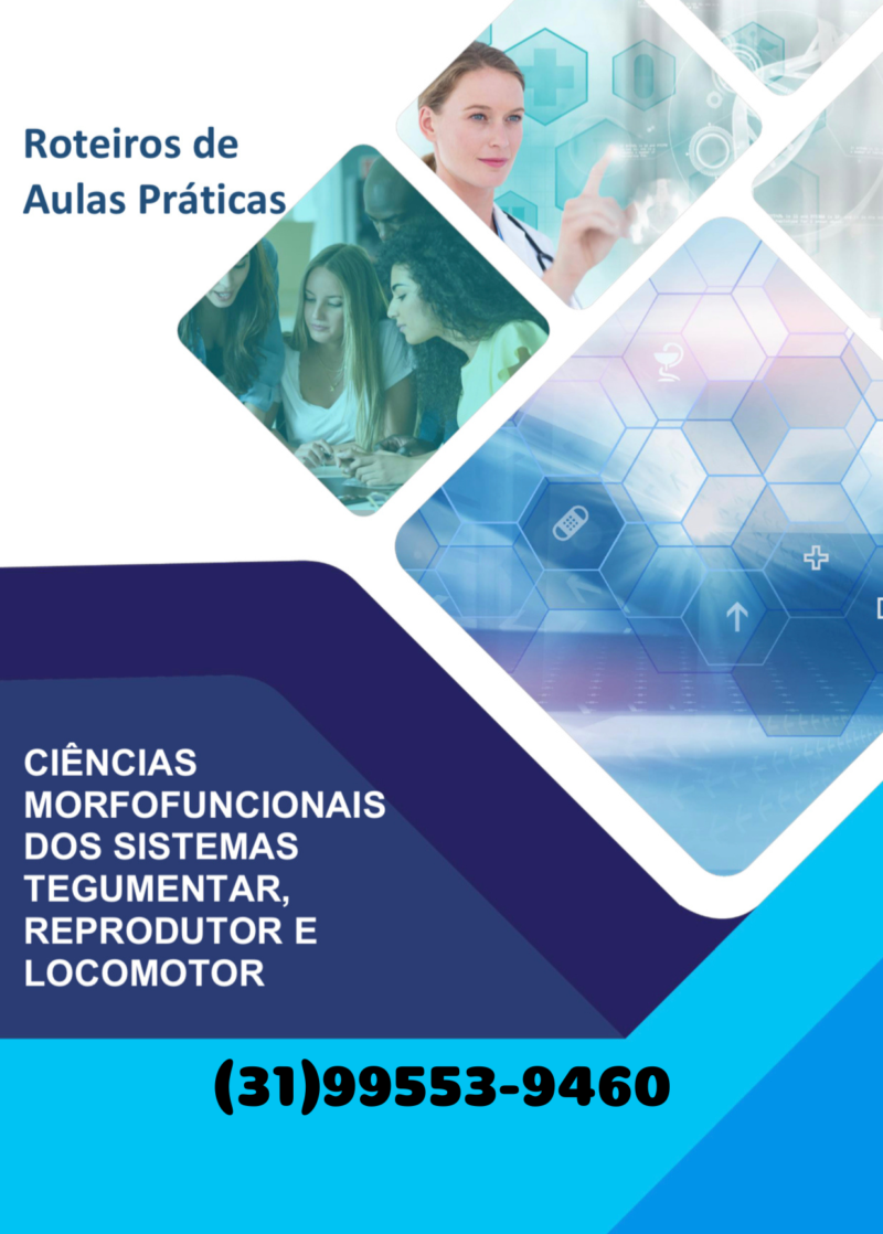 Aula prática Ciências morfofuncionais dos sistemas tegumentar, reprodutor e locomotor