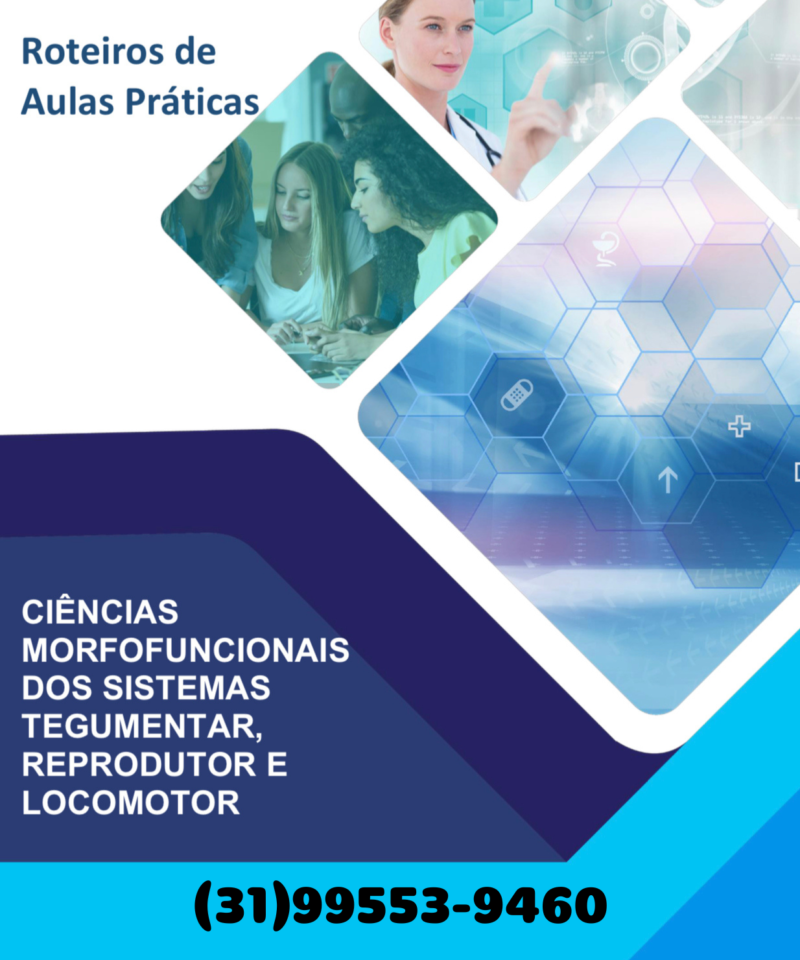 Aula prática Ciências morfofuncionais dos sistemas tegumentar, reprodutor e locomotor