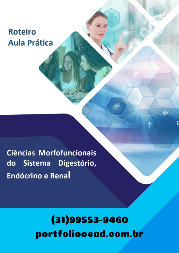 Aula prática Ciências morfofuncionais do sistema digestório, endócrino e renal