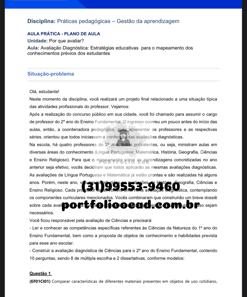 Plano de aula Práticas pedagógicas – Gestão da aprendizagem Educação Física