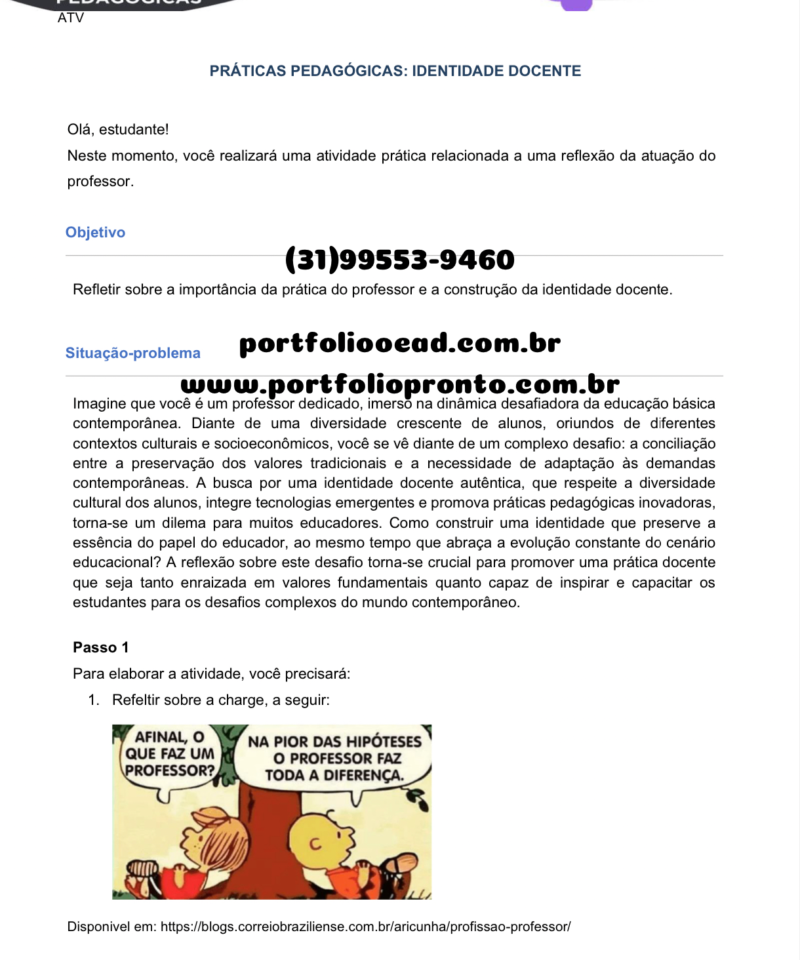 Portfólio Prática práticas pedagógicas