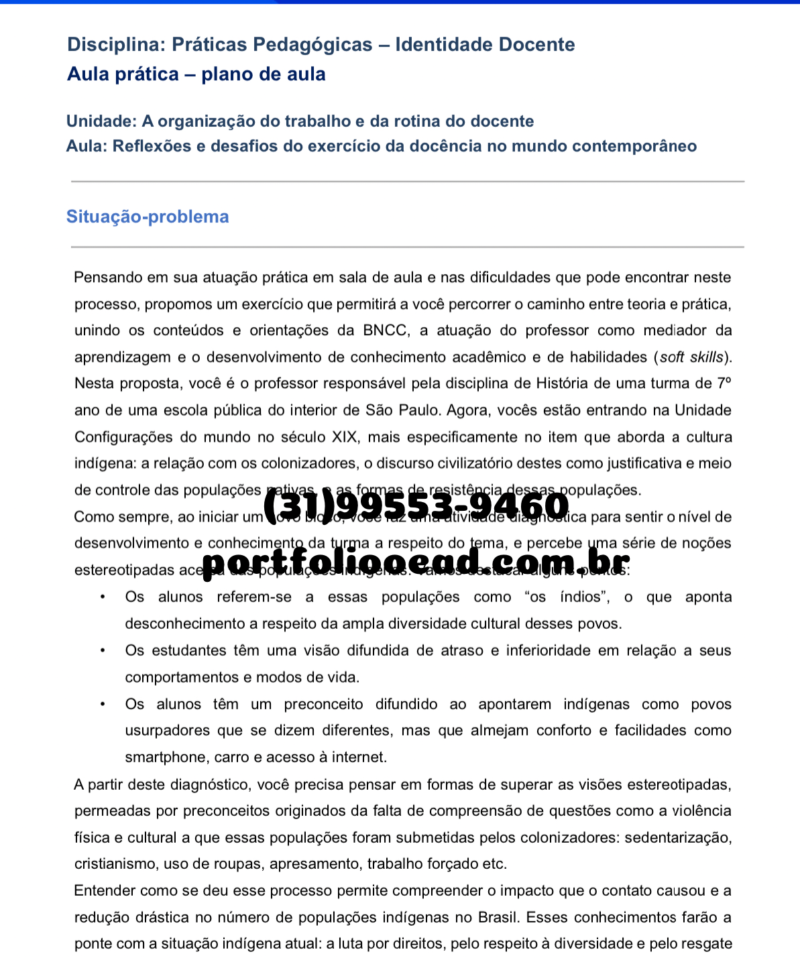 Plano de aula Práticas Pedagógicas – Identidade docente