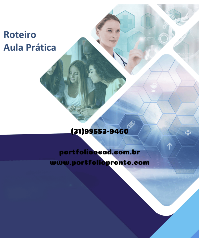 Aula Prática Web Design