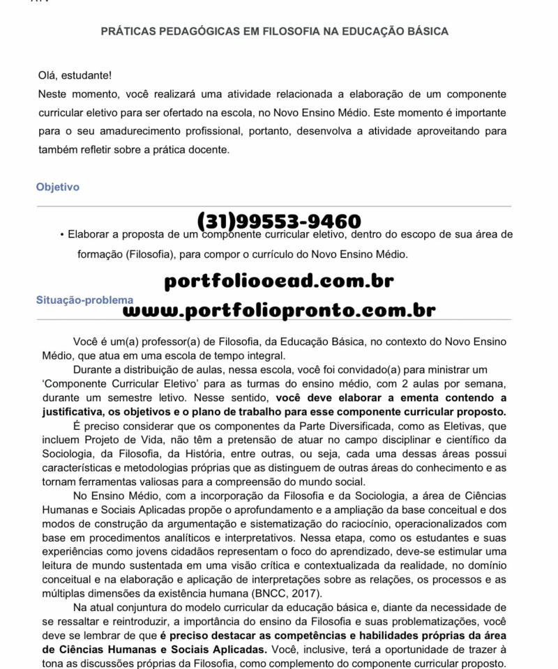 Práticas pedagógicas em Filosofia na educação básica